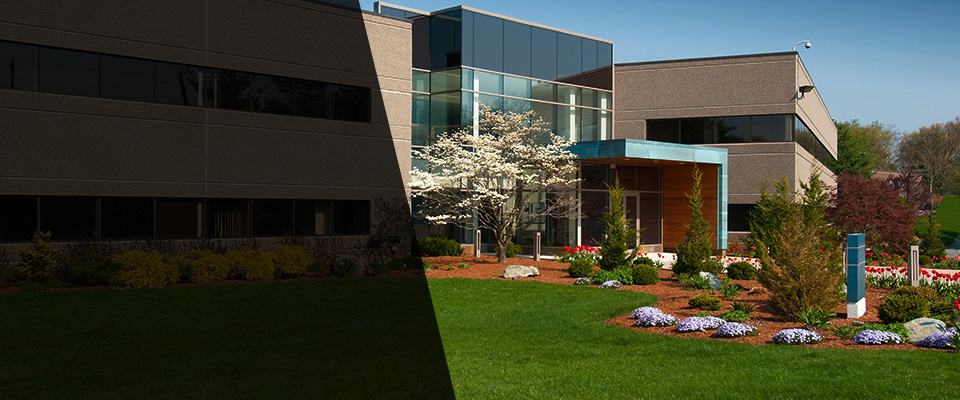 Mazeppa Landscapers