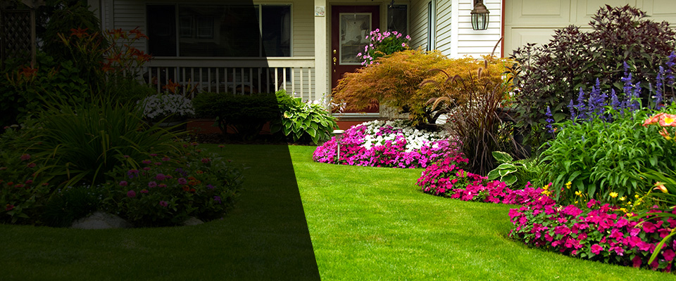 Mazeppa Landscapers