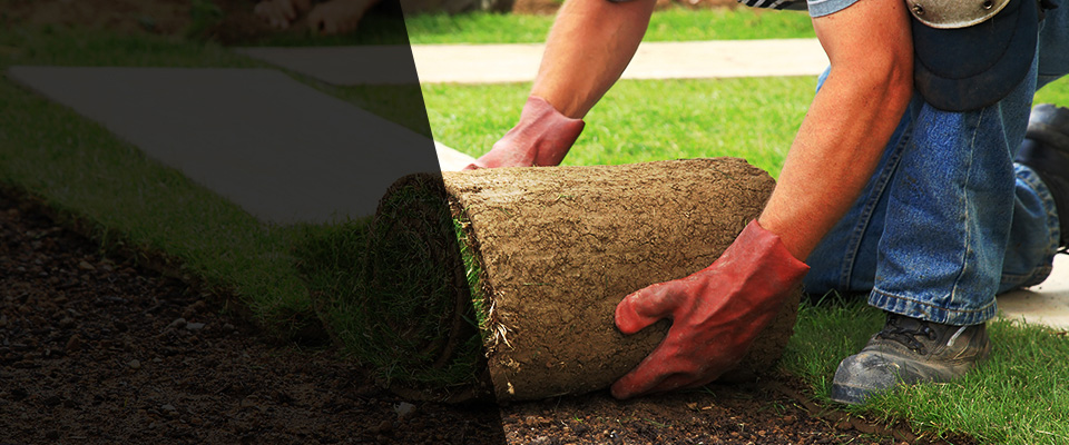 Mazeppa Landscapers